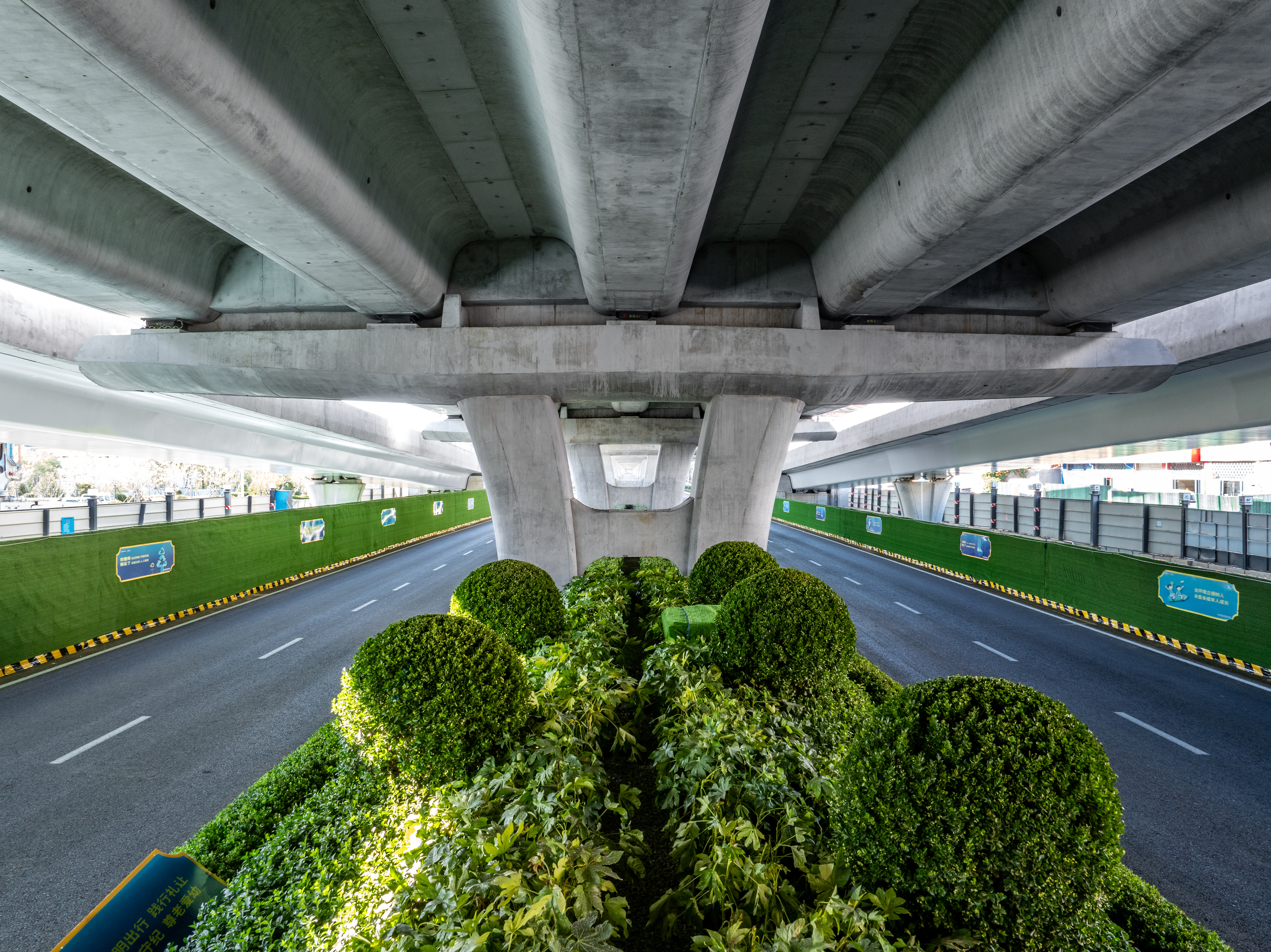 道路两侧持续“增绿上新”！重庆路地面道路全新升级 冲刺7月底地面通车(图4)