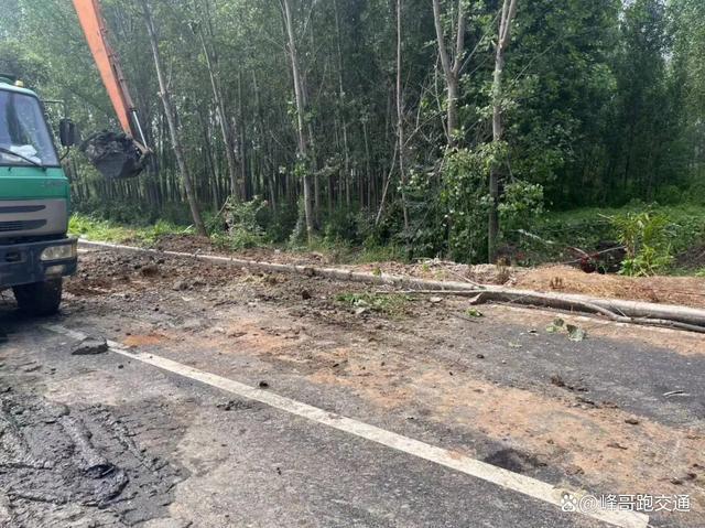 一查到底！汝阳两起未经许可擅自挖掘公路施工案件被严惩(图2)